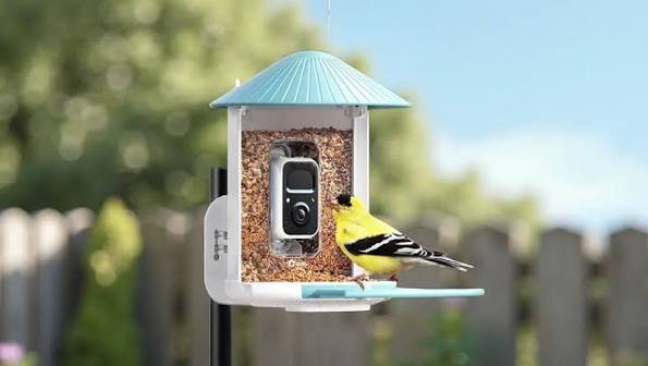 Birdfy Smart Bird Feeder (AI model)