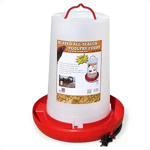 Farm Innovators Heated 3-Gallon Poultry Fountain