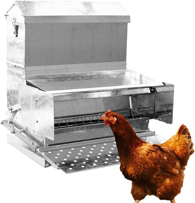RentACoop Automatic Treadle Chicken Feeder (40 lb)