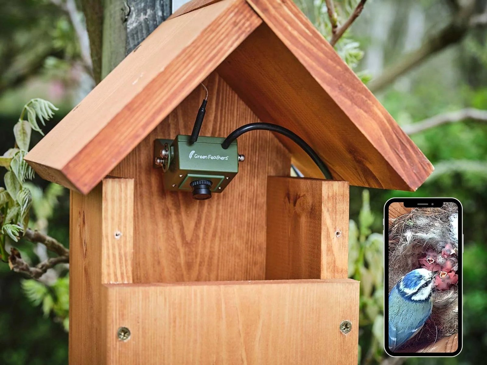 Green Feathers Wi-Fi Bird Box Camera (3rd Gen)